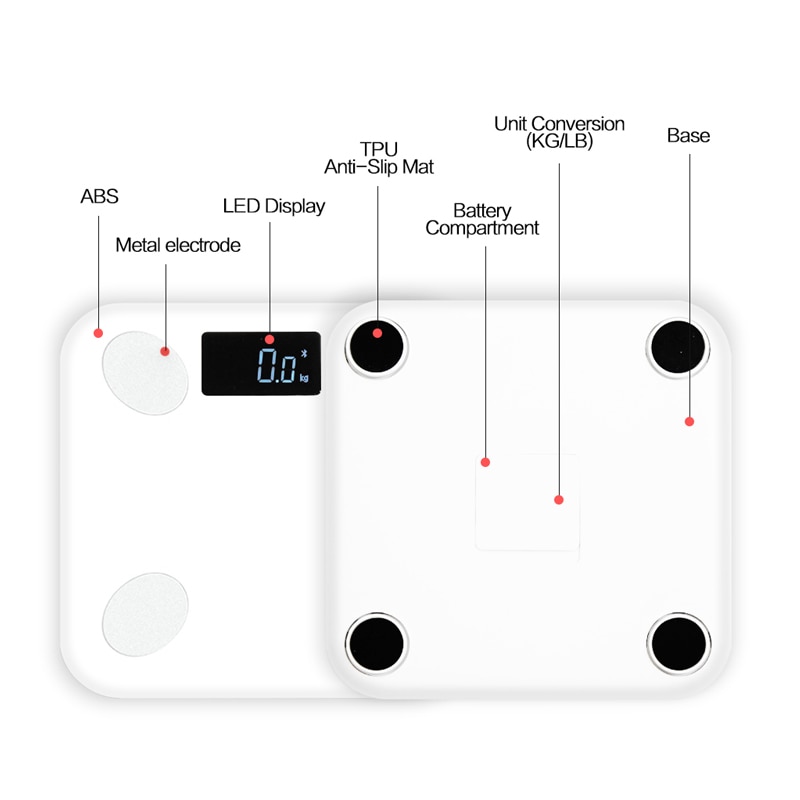 Bluetooth Smart Scale in White Bluetooth Smart Scale in White
