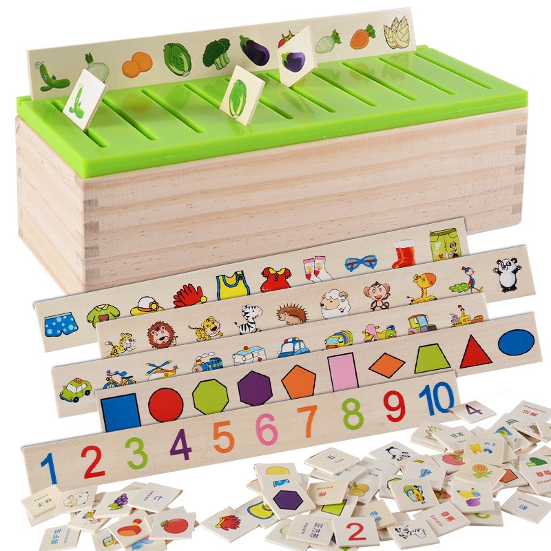 Math and Classification Sorter Educational Toys Kid's Toys Toys 