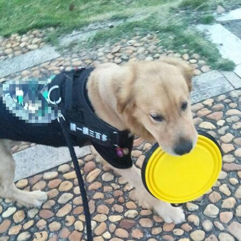 Collapsible Pet Silicone Bowl