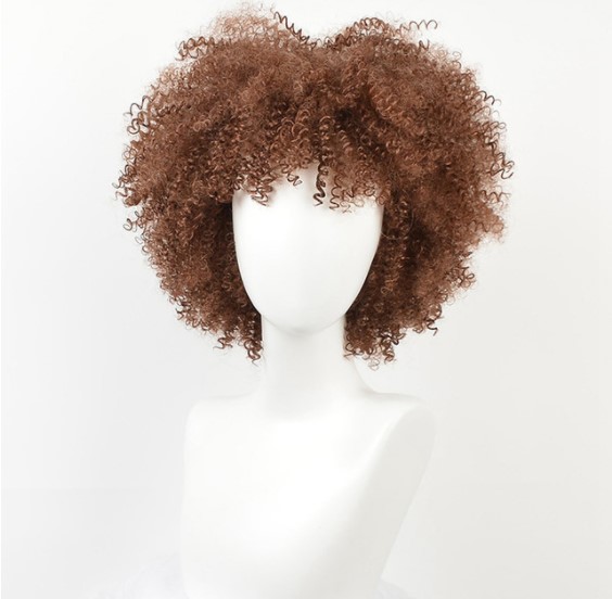 Afro Curly Synthetic Hai Wig