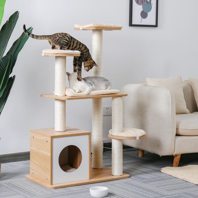 Pet Climbing Frame with Hanging Ball - Aalamey