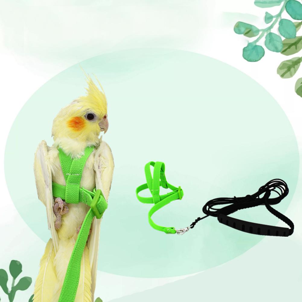 Bird's Ultralight Harness