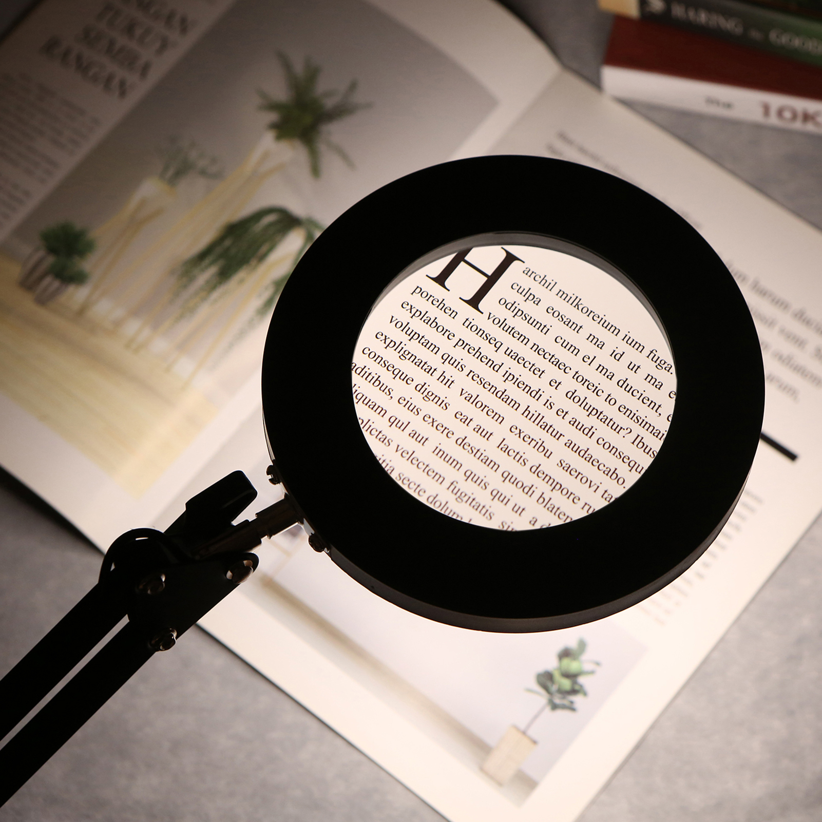 Dimmable Magnifier Lamp with Bracket