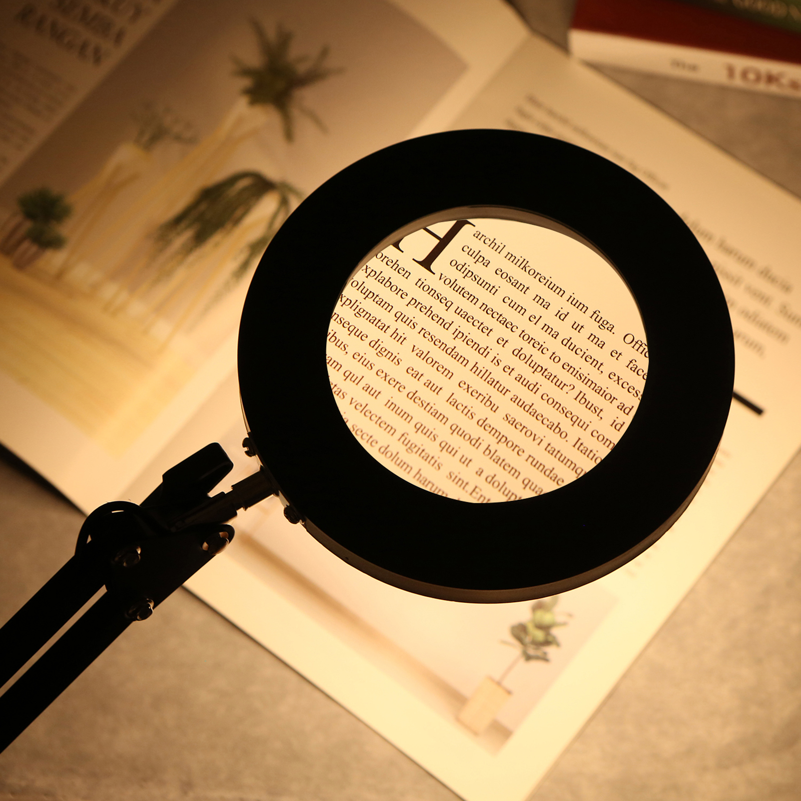 Dimmable Magnifier Lamp with Bracket