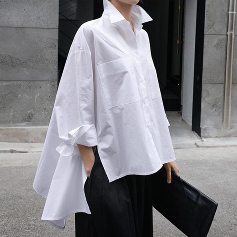 Women's Pigeon Asymmetric Shirt