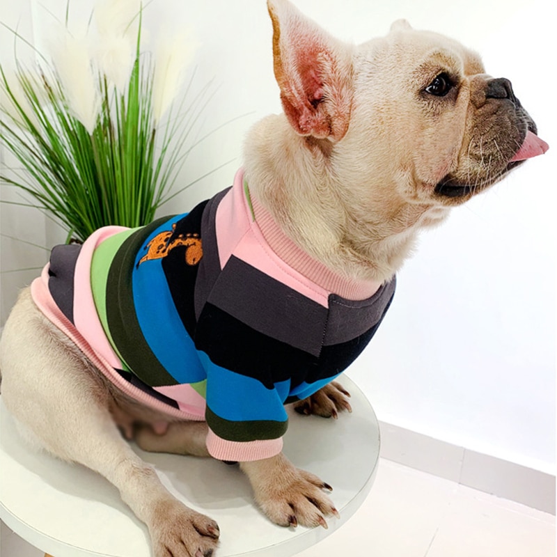 Warm Colorful Striped Owner and Pet Matching Hooides Set